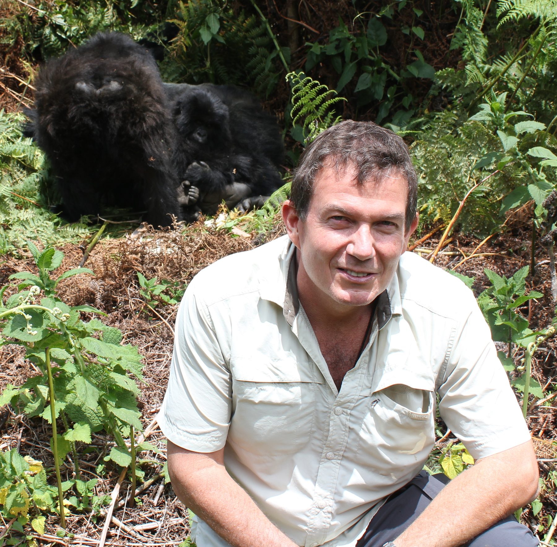 Terry L. Fossum. A few feet from mountain gorillas, Rwanda.